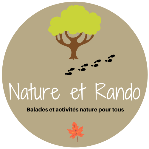 Organisation de balades