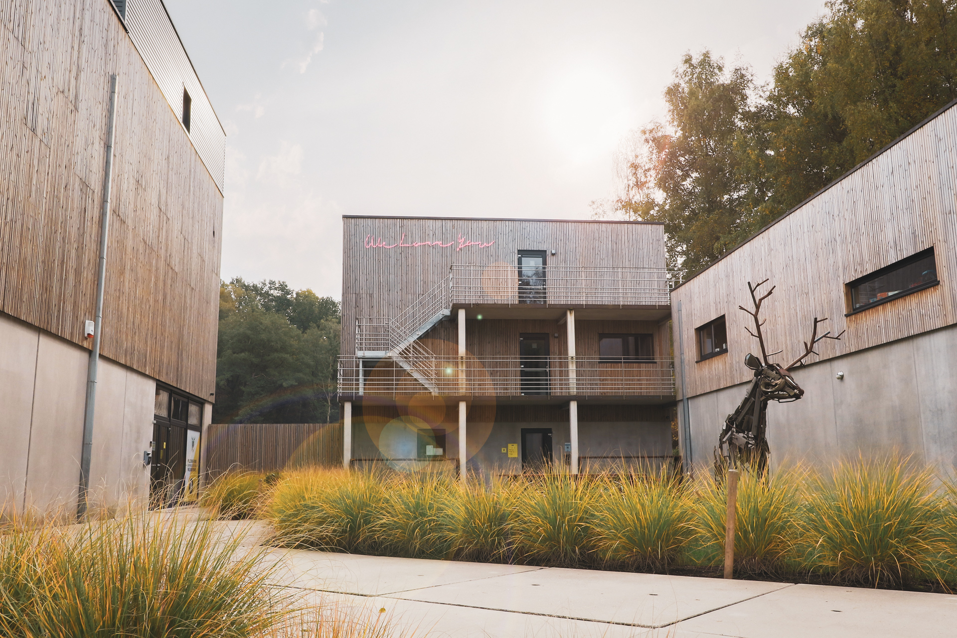 facade of Daft Hotel & Studios