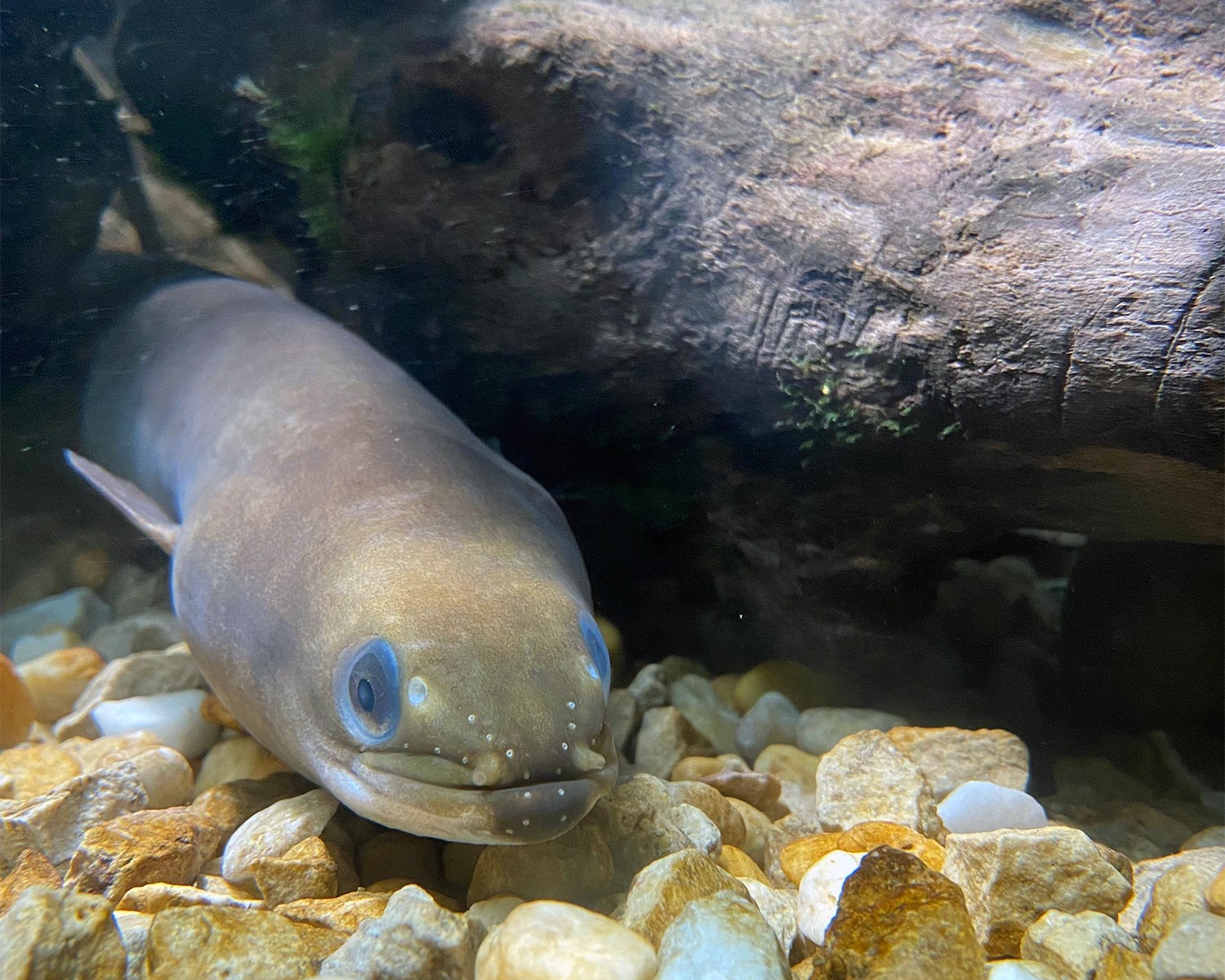 Journée Mondiale des Rivières et des Fleuves