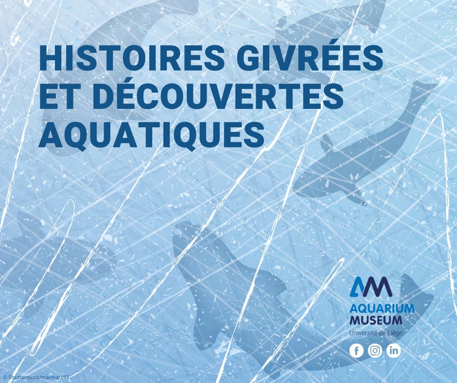 Histoires givrées à l'Aquarium de Liège