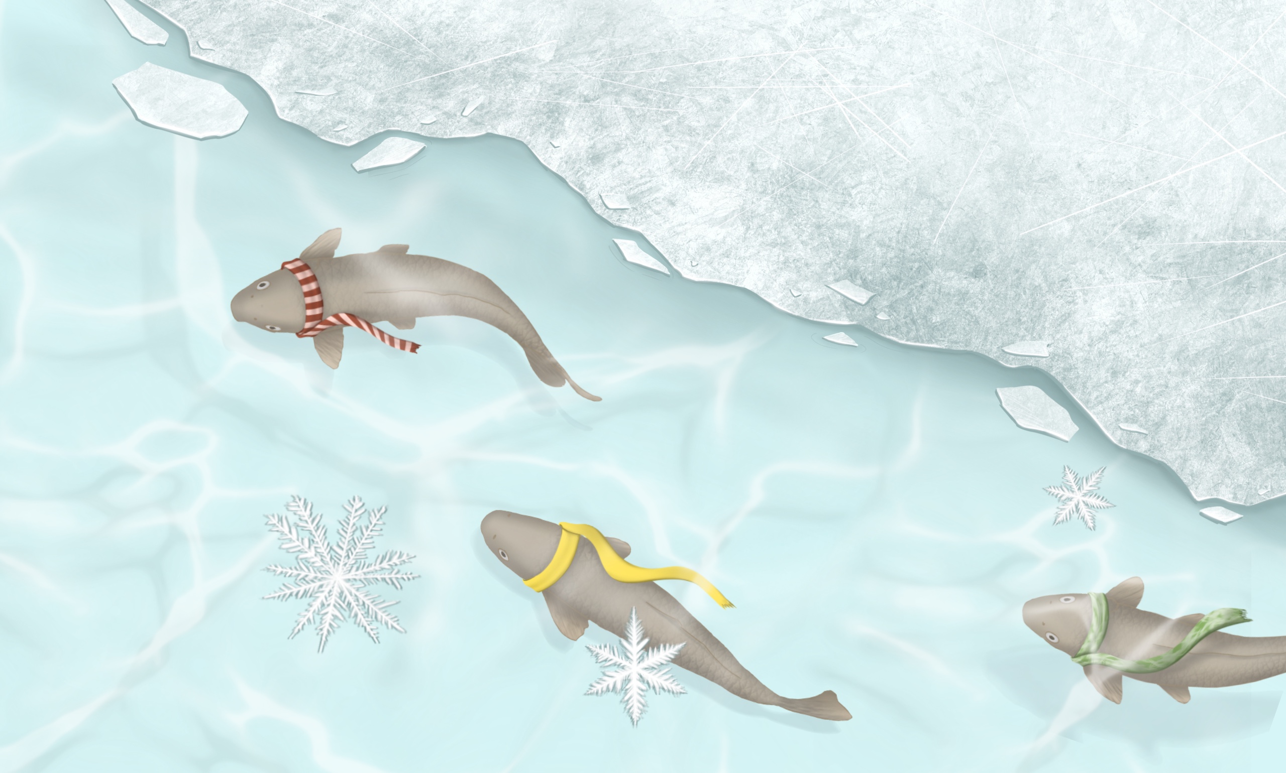 Les secrets de l'hiver sous l’eau