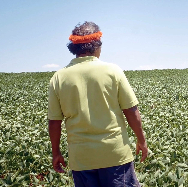 Green Is the New Red De la guerre froide à la guerre verte.