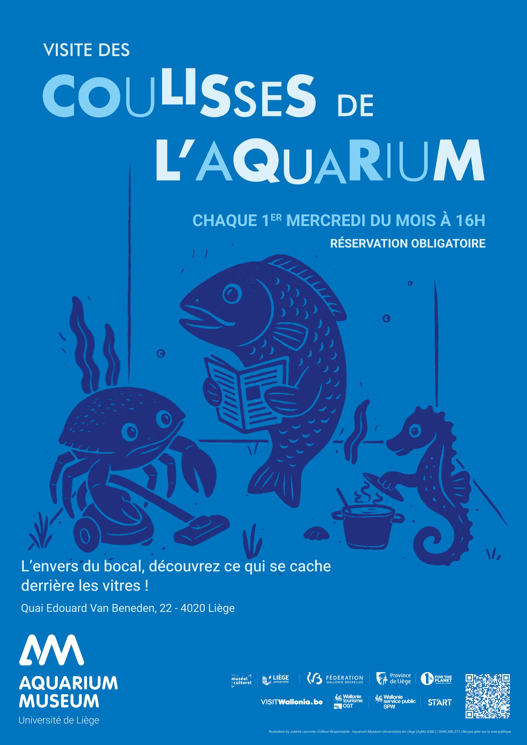 Affiche Visite des coulisses