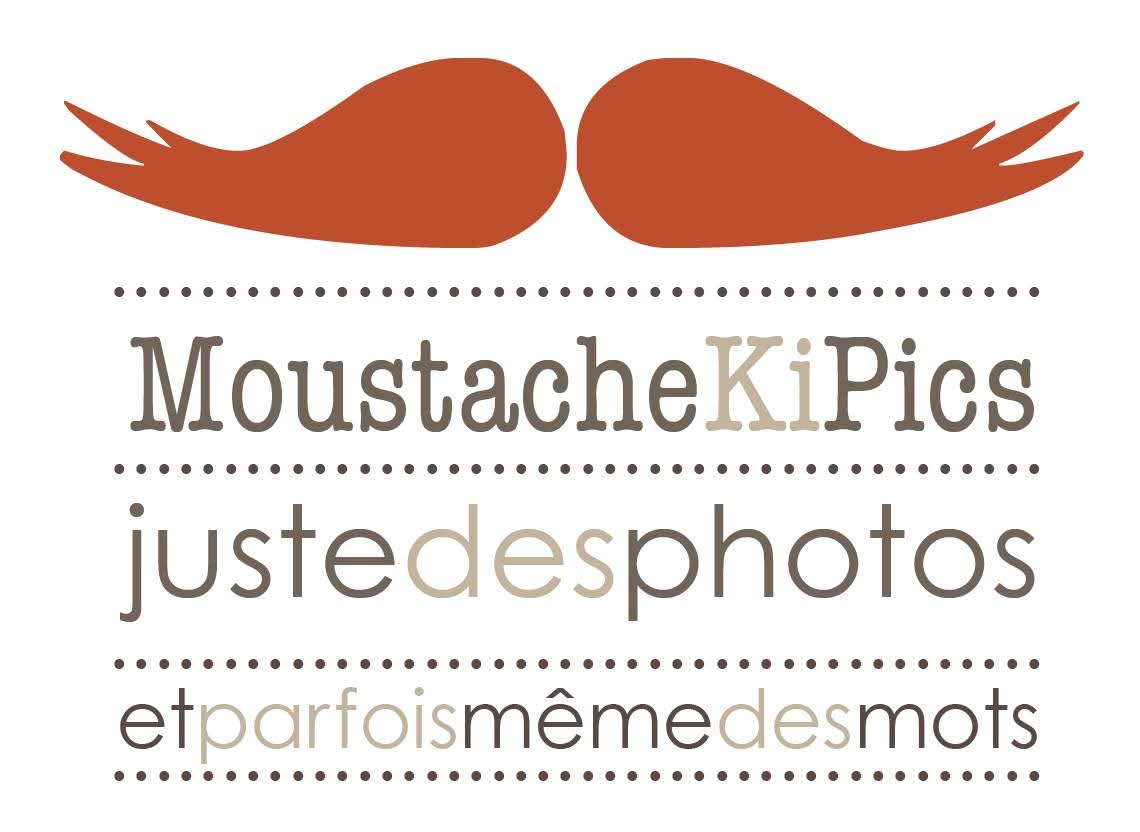 Logo Moustachekipics
