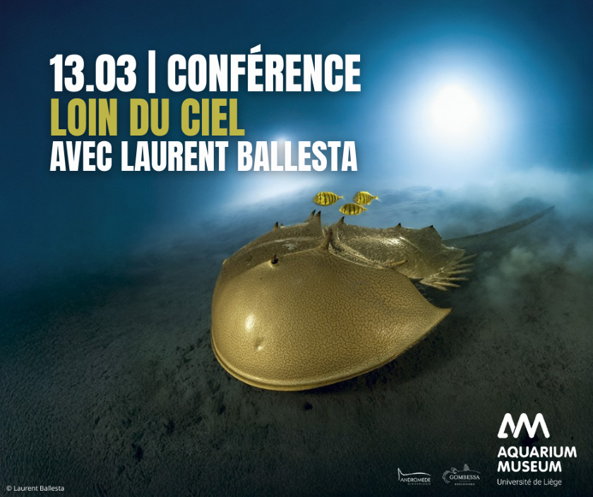 Loin du Ciel, conf&eacute;rence avec Laurent Ballesta
