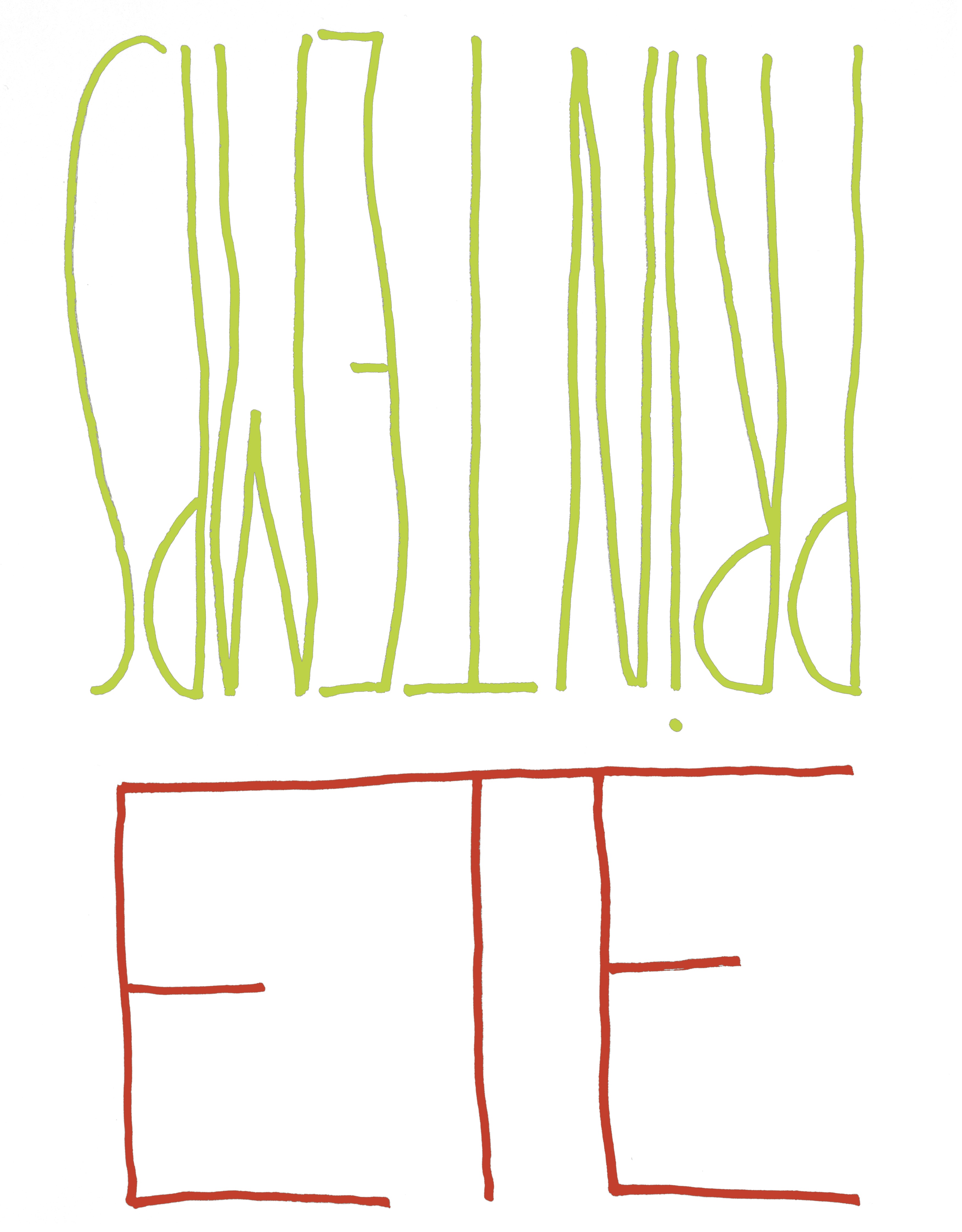 lionel esteve : printemps - ete