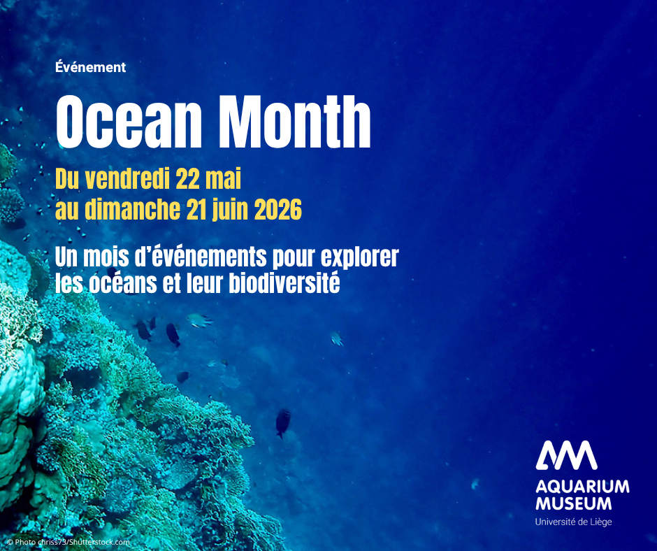 Ocean Month