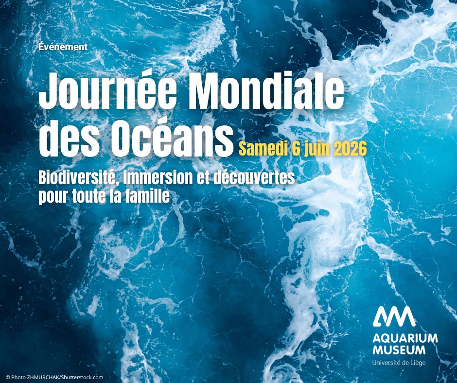 Journ&eacute;e Mondiale des Oc&eacute;ans 2026