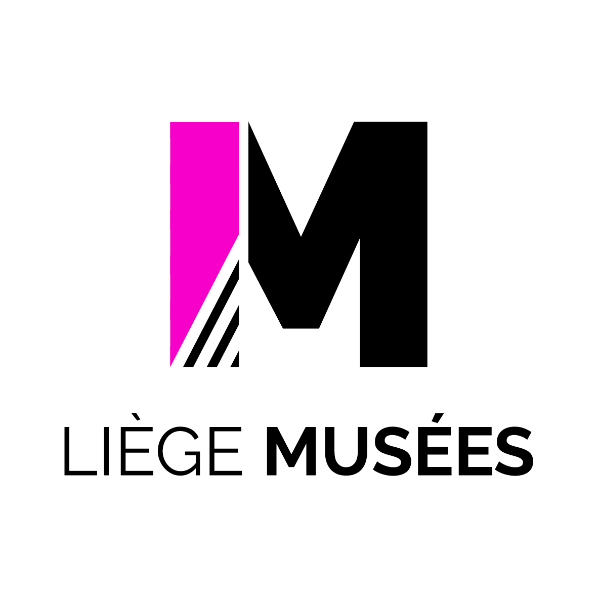 Logo Mus&eacute;es de la Ville de Li&egrave;ge