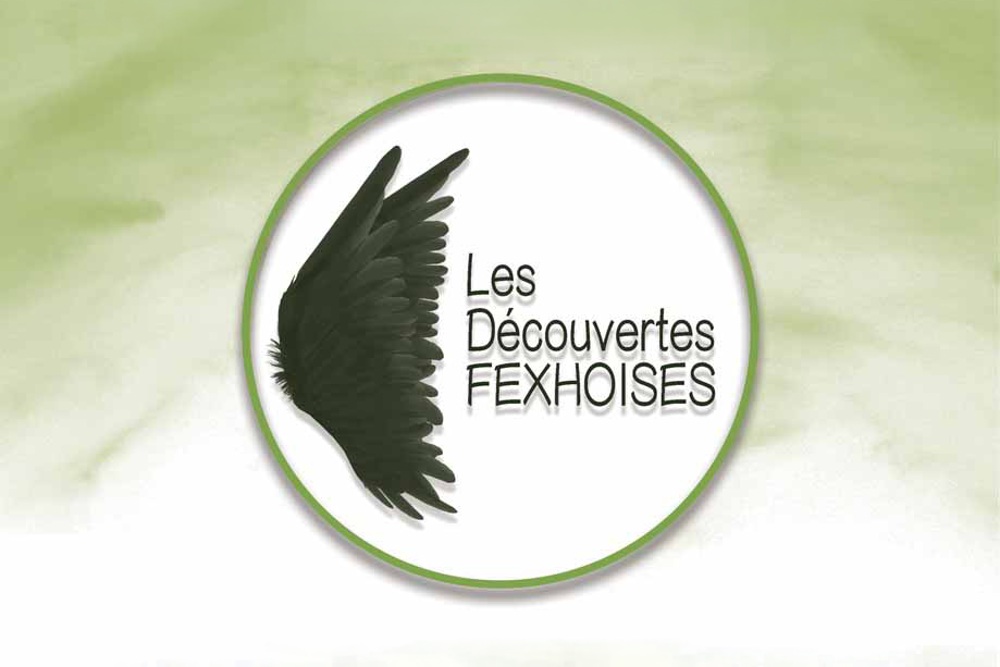 Logo des D&eacute;couvertes Fexhoises