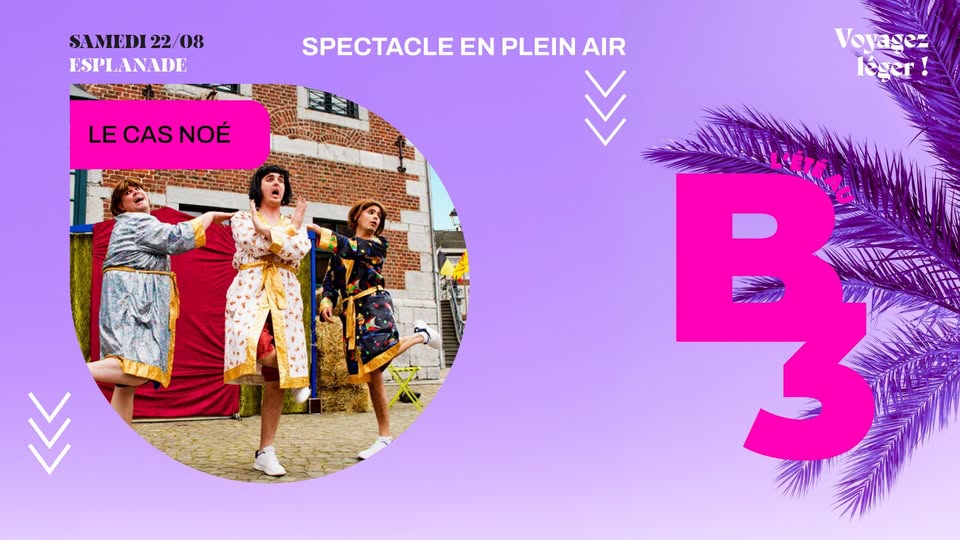 LE CAS NOE VIGNETTE