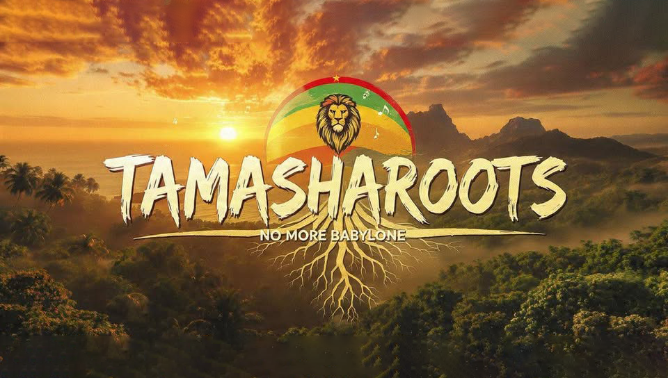 Tamashroots Vignette