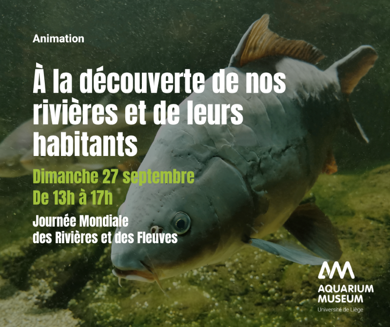 &Agrave; la d&eacute;couverte de nos rivi&egrave;res et de leurs habitants