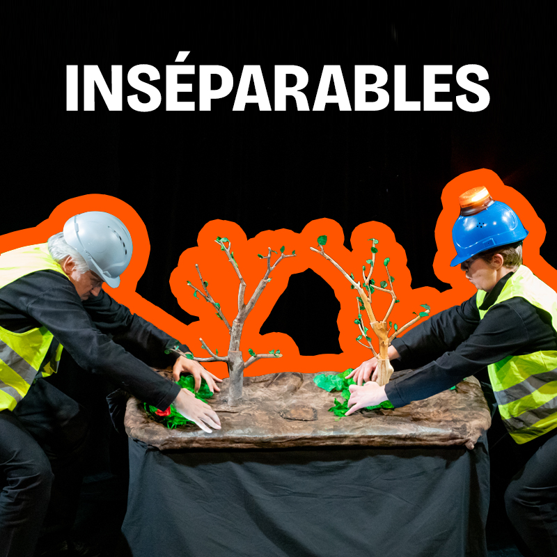 Ins&eacute;parables