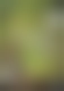 Event banner