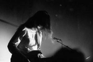 DEL3947-300x200.jpg