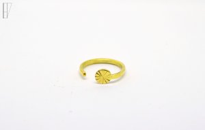 Bague-SONU-300x191.jpg