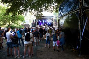 Francofolies_Marine-Rigo_4000_18-300x200.jpg