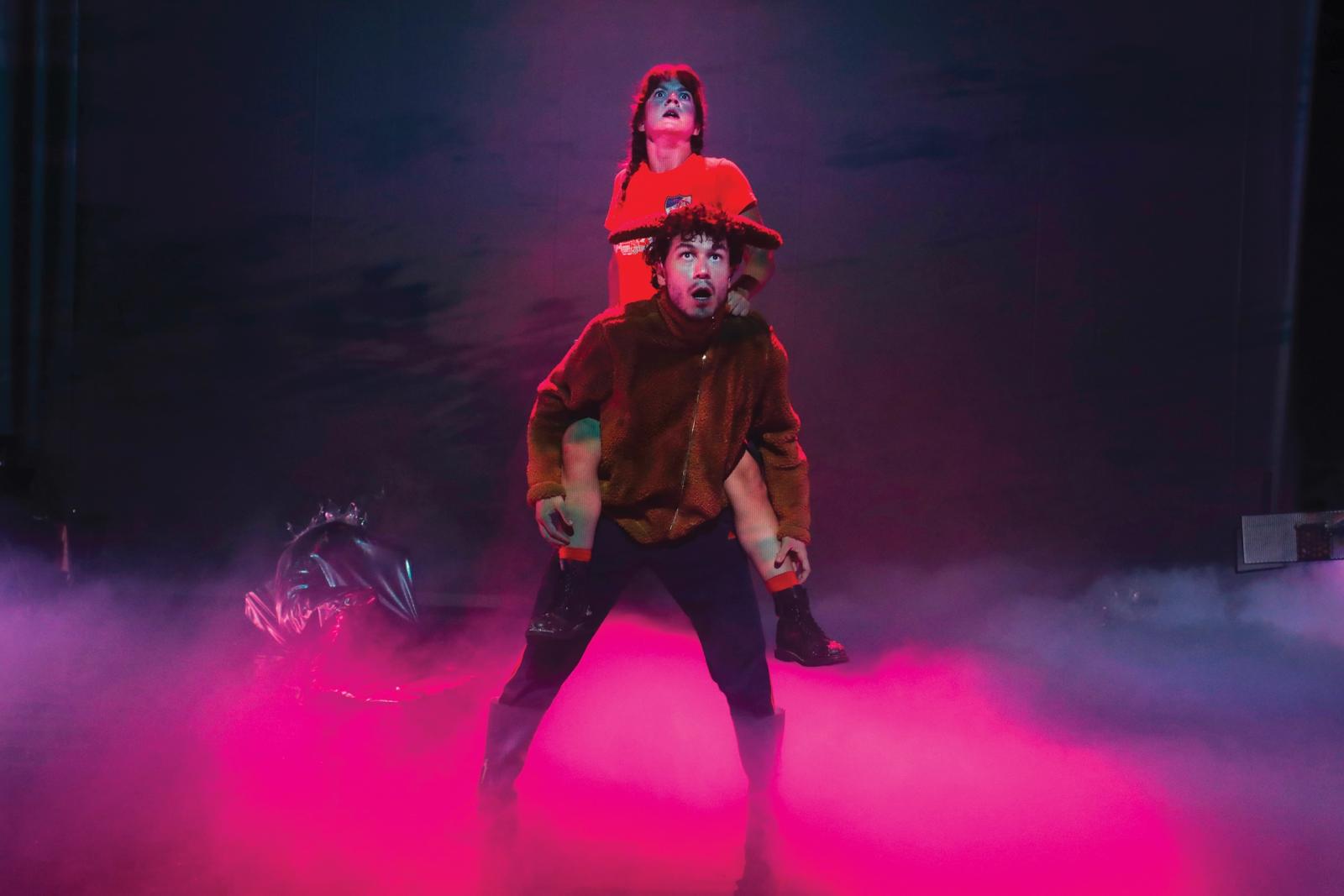 © Dominique Houcmant 