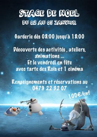 Descriptif du stage
