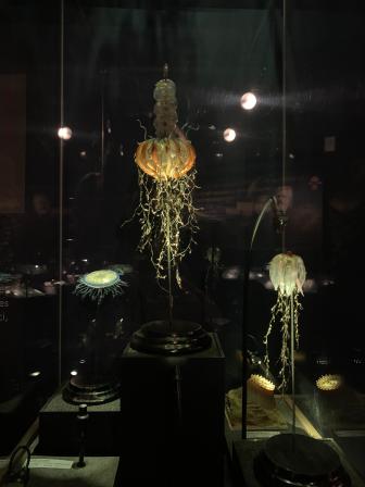 Méduses et anémones en verre soufflé