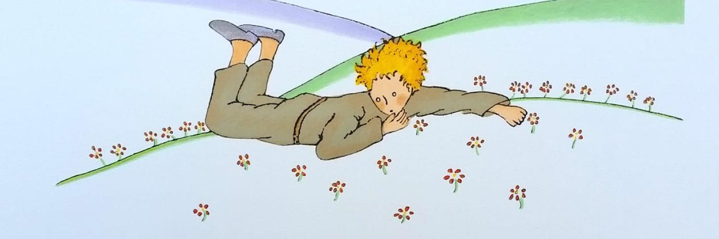 Le petit prince vole