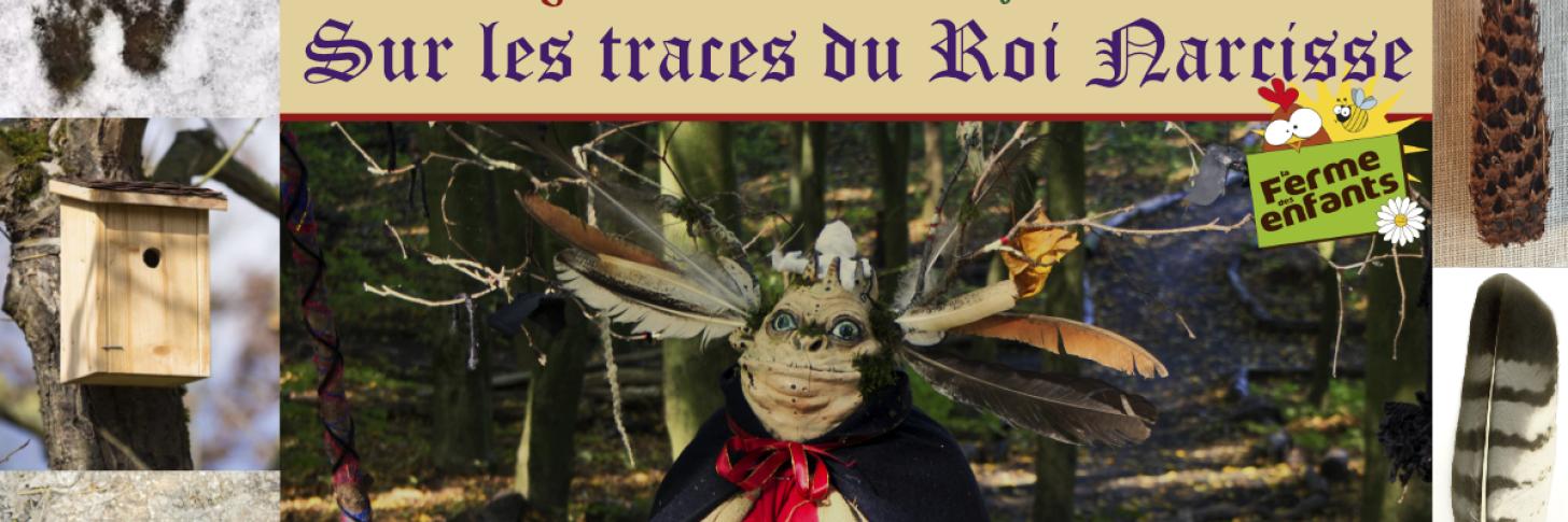 Troll Narcisse avec vignette stage + images cône rongé, plume, empreintes écureuil, nichoir, crottes hérisson