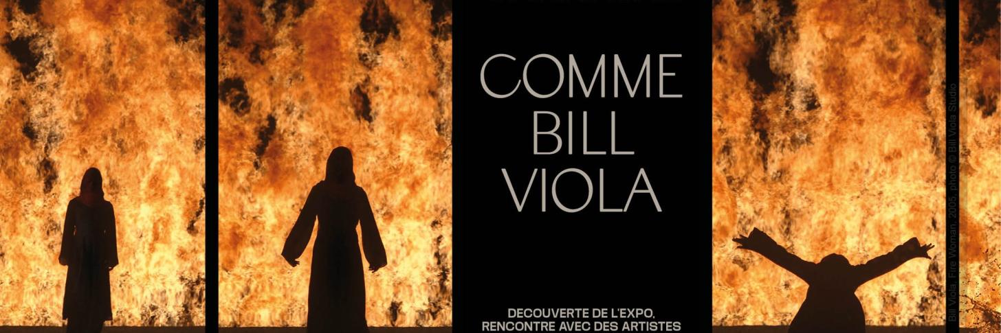 STAGE DE CARNAVAL COMME BILL VIOLA