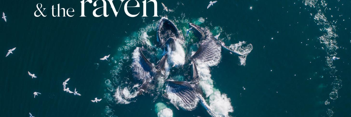 Documentaire The Whale and the Raven