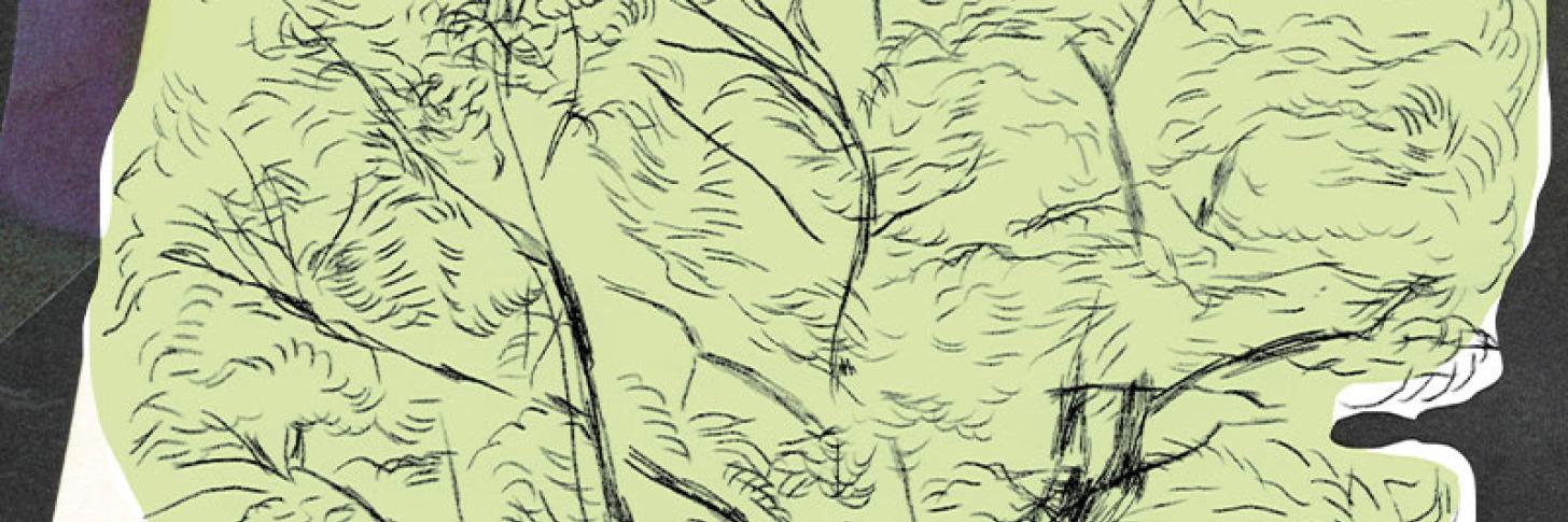 arbres