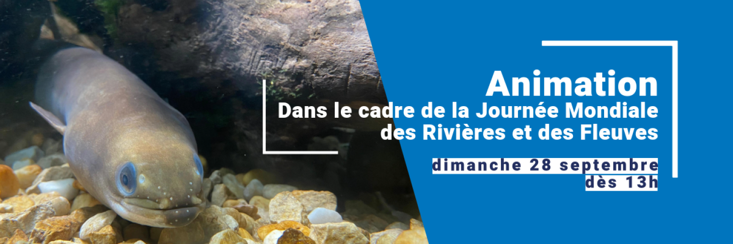 Journée Mondiale des Rivières et des Fleuves