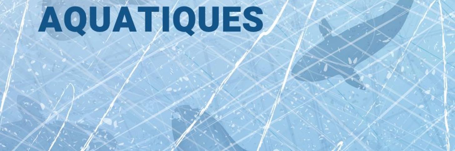 Histoires givrées à l'Aquarium de Liège