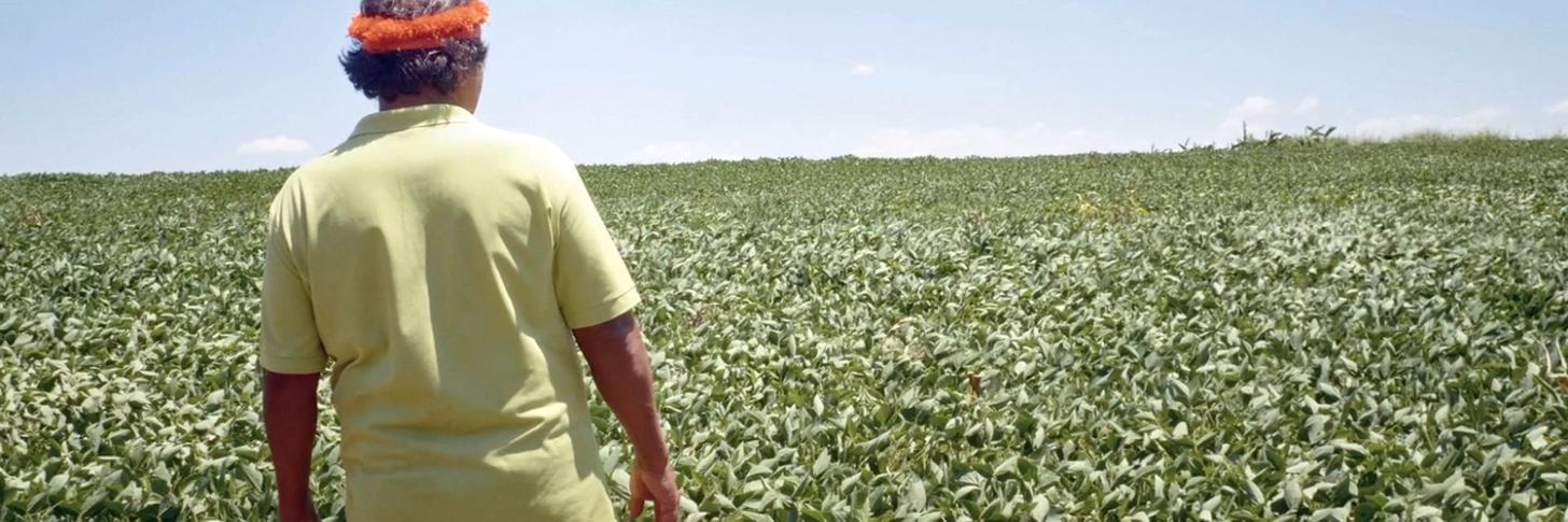 Green Is the New Red De la guerre froide à la guerre verte.