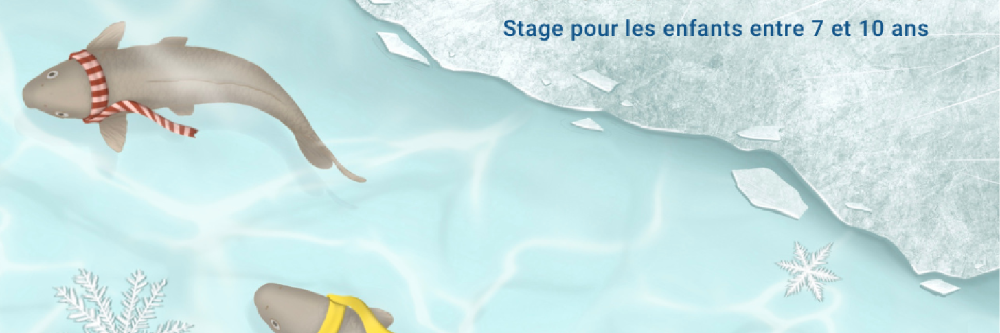 Les secrets de l'hiver sous l’eau