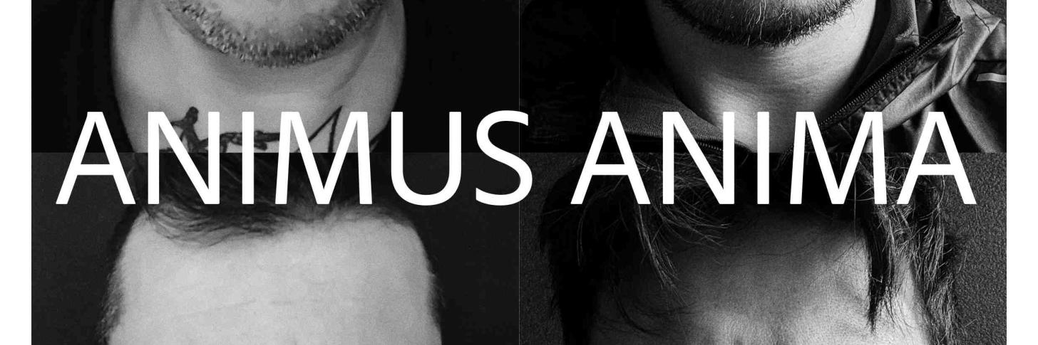 Animus Anima