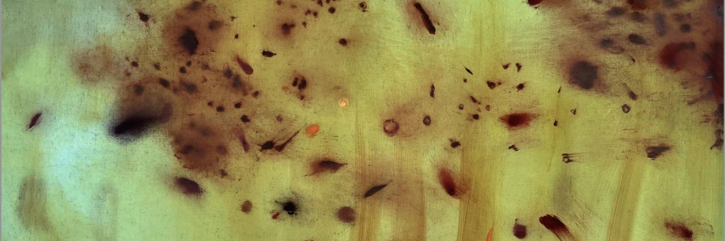 visuel :  Ostrica Audace (d&eacute;tail), 2026, Huile et collage sur toile, 210 x 260 cm&shy;