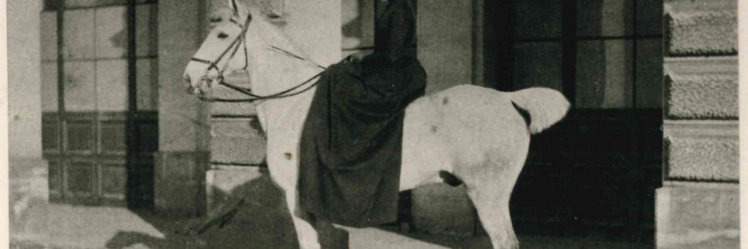 Marie-Henriette