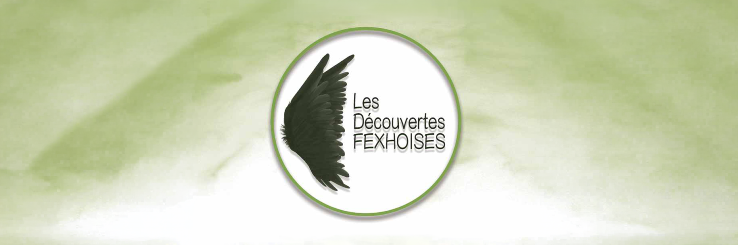Photo de couverture des D&eacute;couvertes Fexhoises