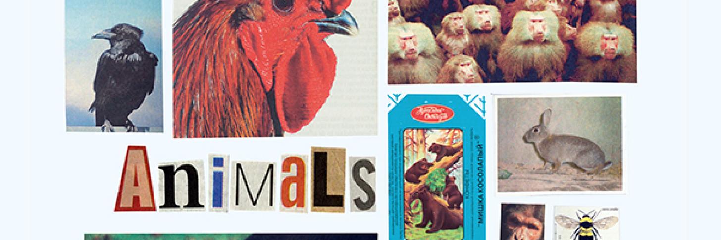 ANIMALS