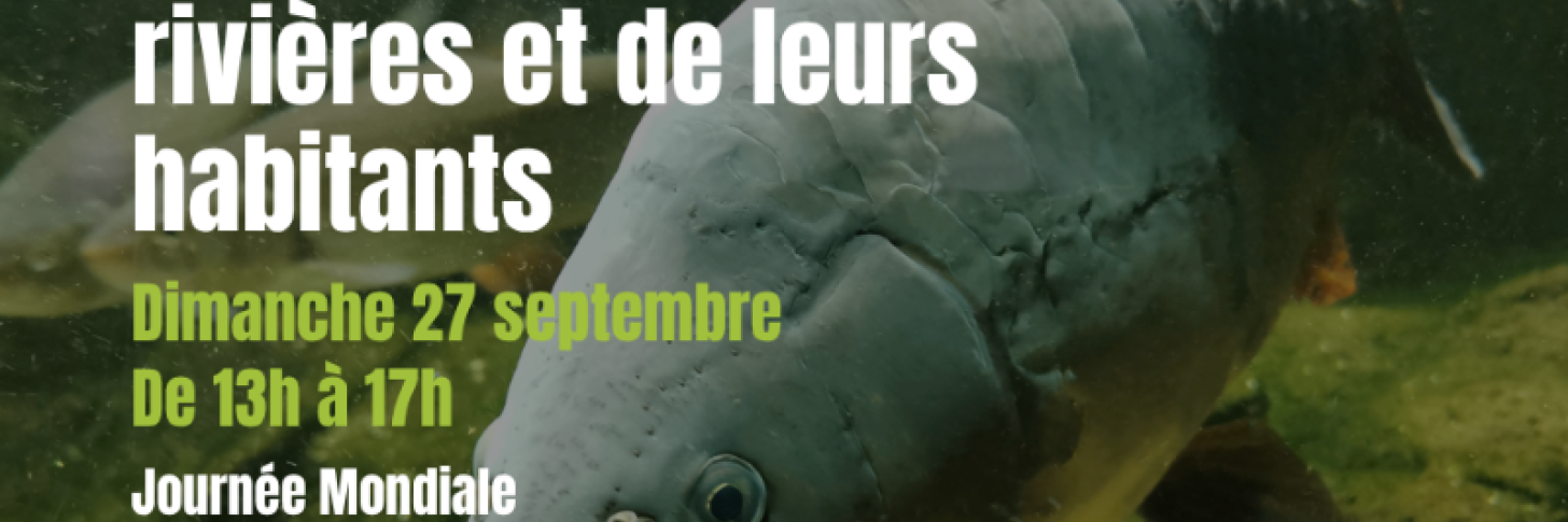 &Agrave; la d&eacute;couverte de nos rivi&egrave;res et de leurs habitants