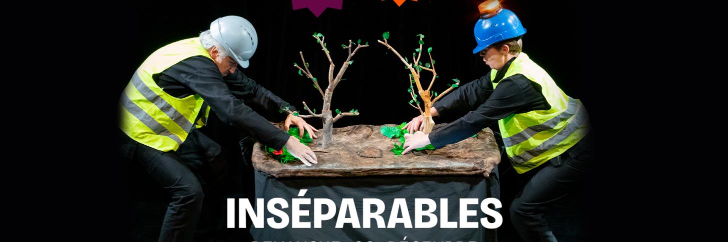 Ins&eacute;parables
