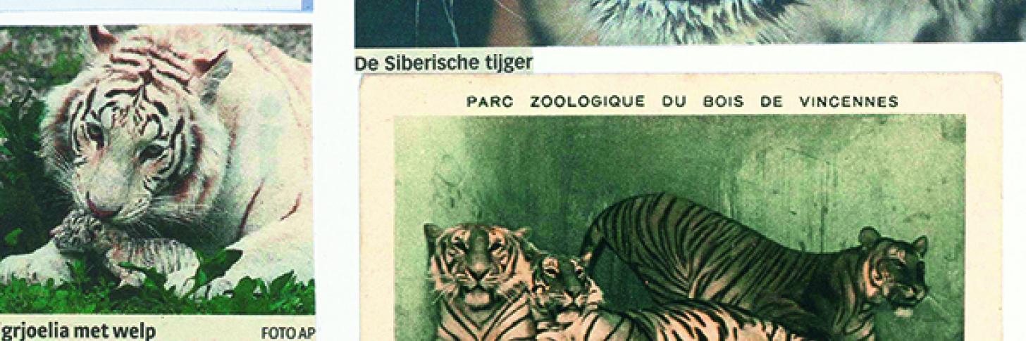 Les garderies cr&eacute;atives des petites b&ecirc;tes