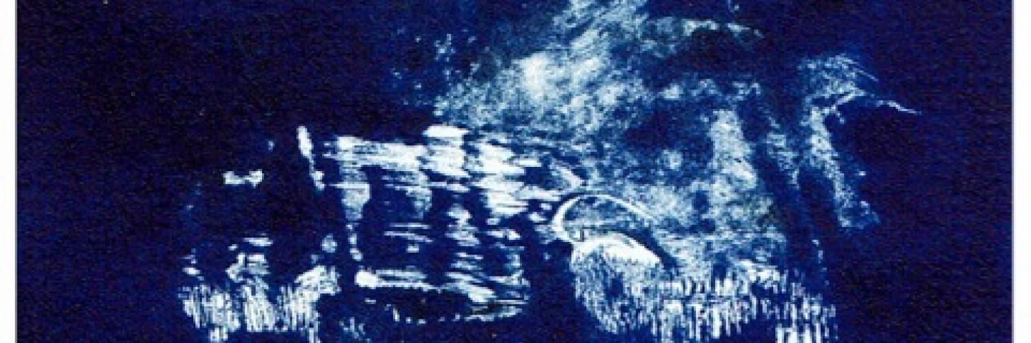 DANS LE BLEU - ANTOINE DAWANS
