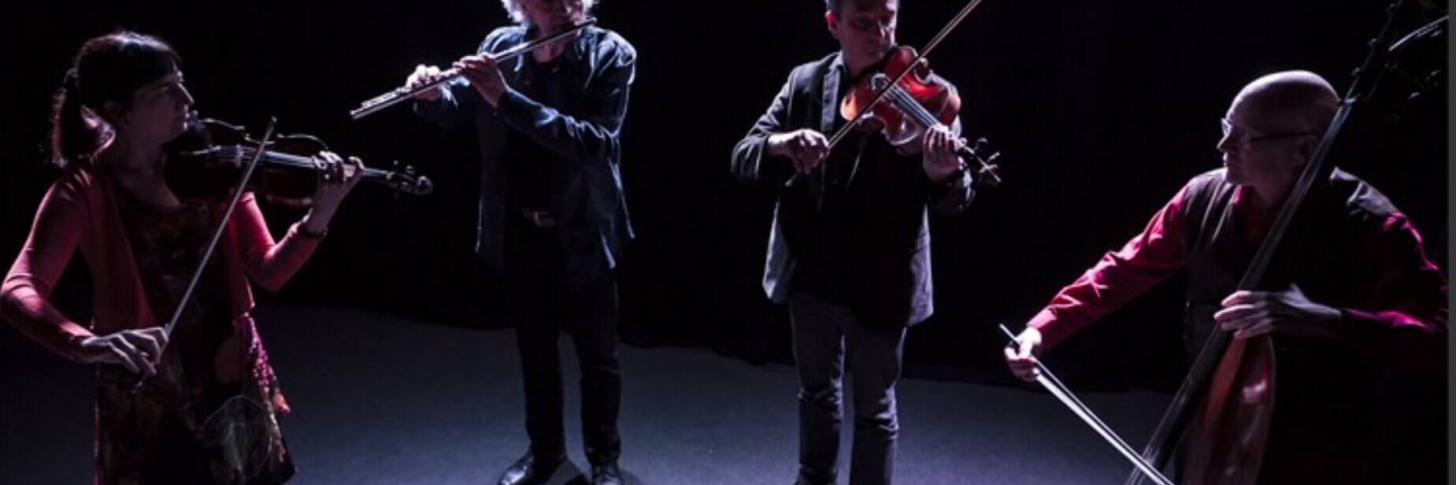 CELTIC ARTS TRIO : DANSE ET CORDES TRADITIONNELLES