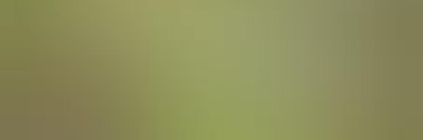 Event banner