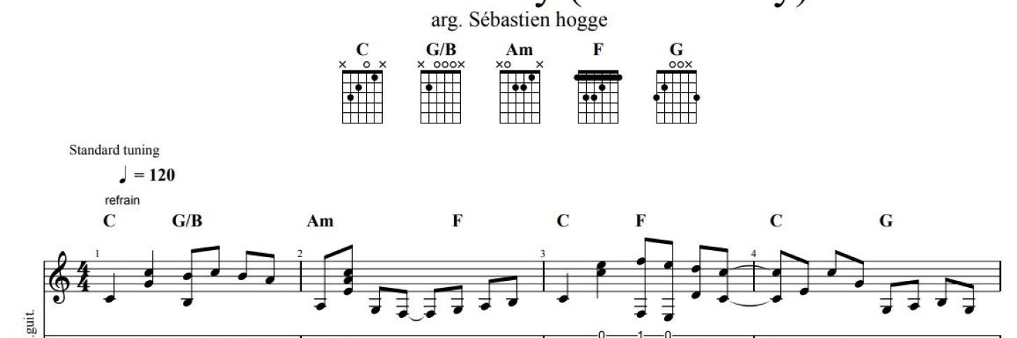ENVIE D’APPRENDRE LE PICKING AVEC SEBASTIEN HOGGE