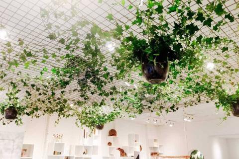 L'AUDACIEUSE BOUTIQUE C&sup2;