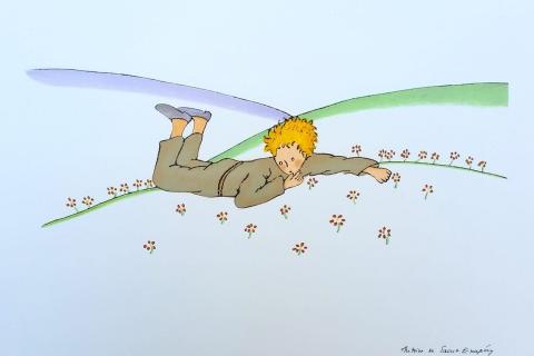 Le petit prince vole