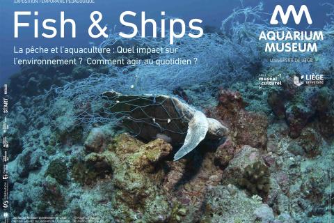 Affiche de l'exposition pédagogique "Fish & Ships"