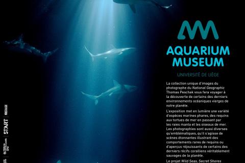 Affiche de l'exposition "Wild Seas, Secret Shores"